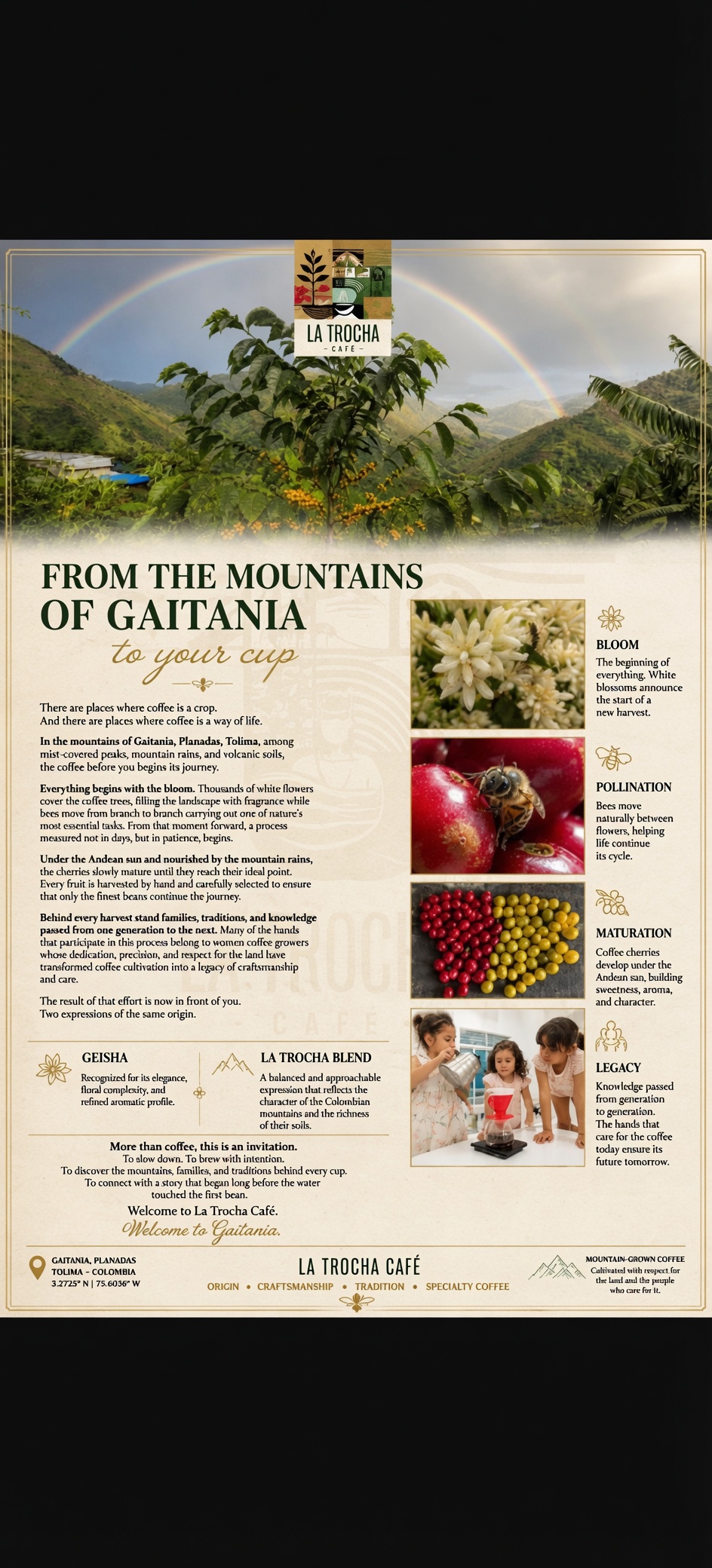 From the mountains of Gaitania to your cup - La Trocha Café origin story with coffee plant, cherries and process
